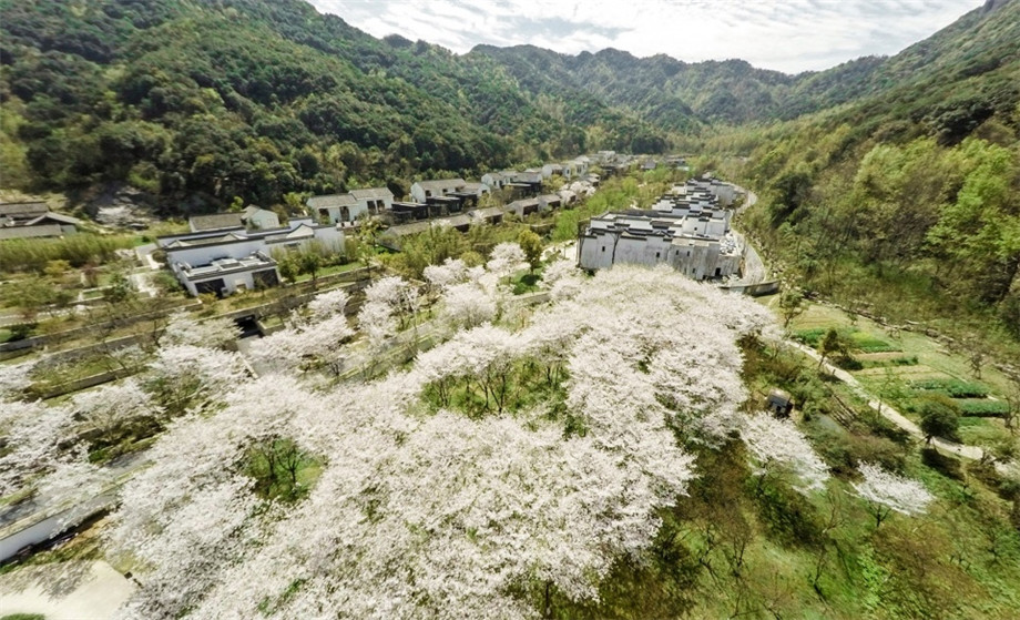 徽派特色酒店裝修  蘭亭安麓度假酒店設(shè)計(jì)裝修實(shí)景圖